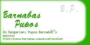 barnabas pupos business card